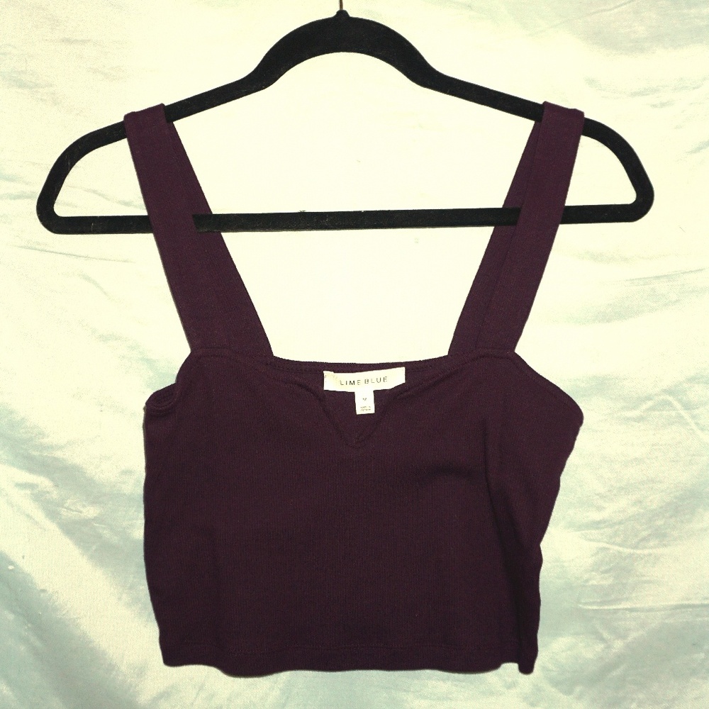 Sleeveless Purple/Plum Crop Top